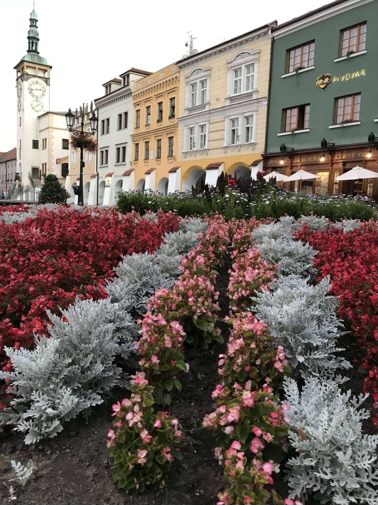 Kromeriz town square flowers