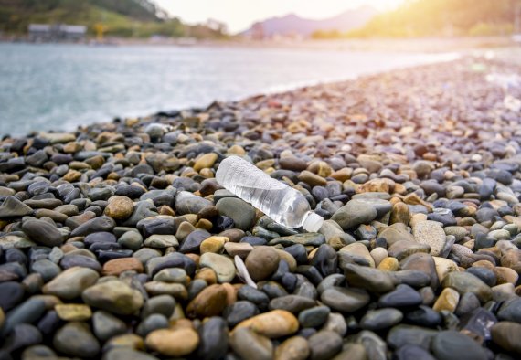 plastic water bottle trashed on beach